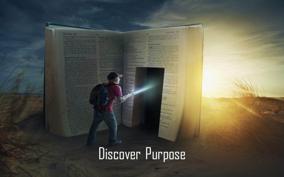 Sun 10/29/17 – “Elevated Reality” – Discover Purpose