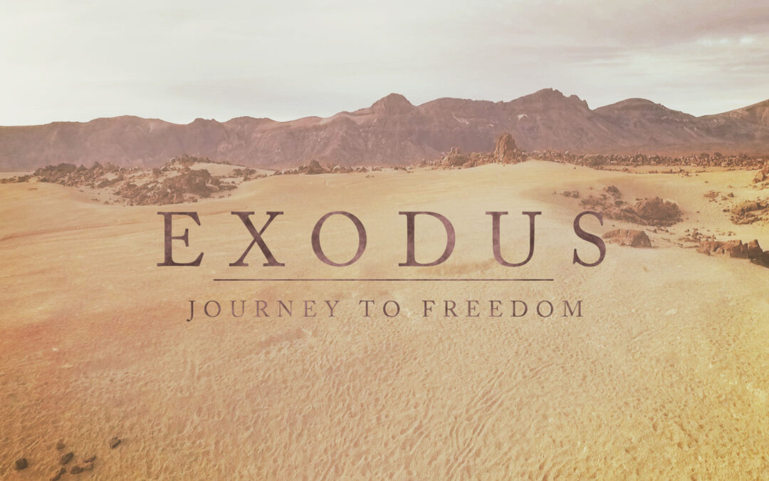7/9/23 – “Learning By Example” – Exodus